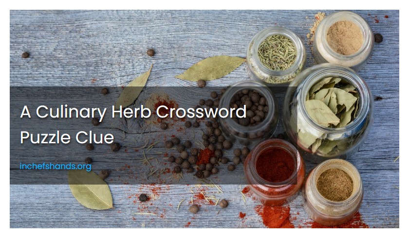 A Culinary Herb Crossword Puzzle Clue
