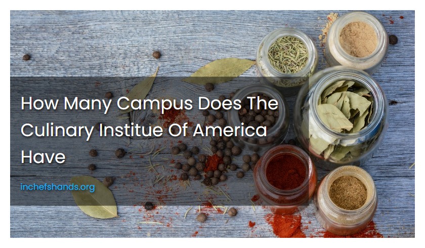 How Many Campus Does The Culinary Institue Of America Have