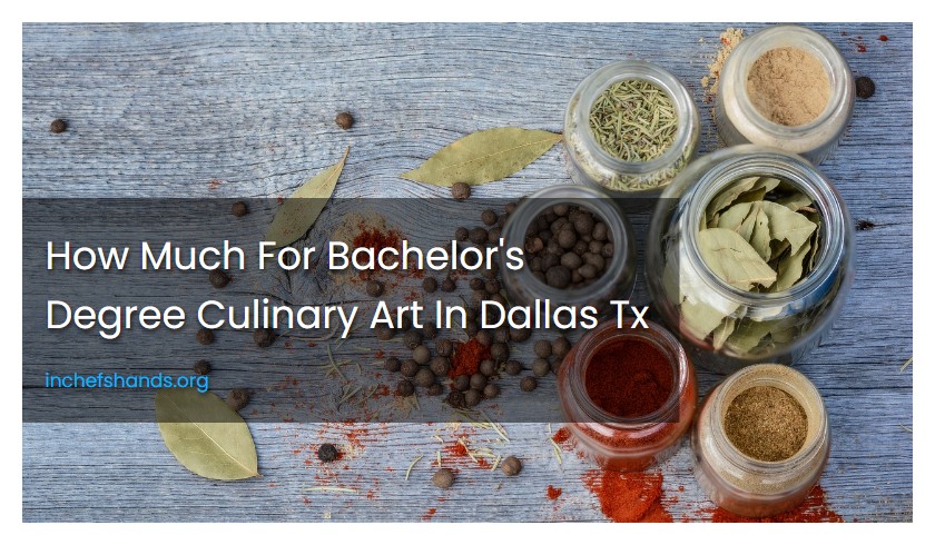 How Much For Bachelor's Degree Culinary Art In Dallas Tx