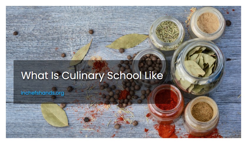 What Is Culinary School Like
