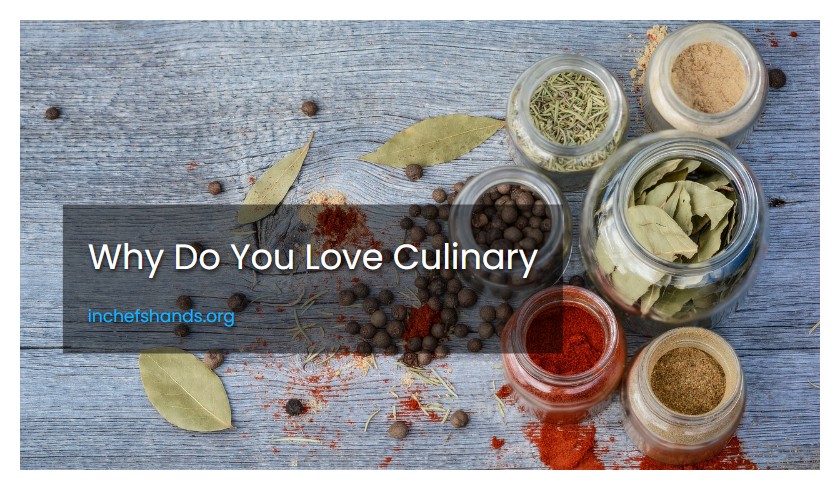 Why Do You Love Culinary